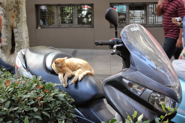 Sadece Motosiklet Kullanıcılarının Anlayabileceği 13 Şey